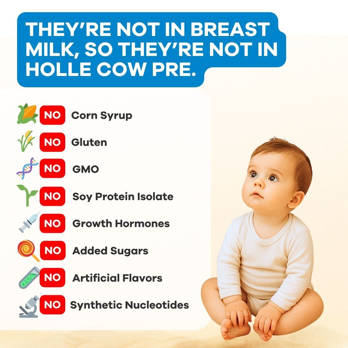 Holle Organic Infant Formula PRE