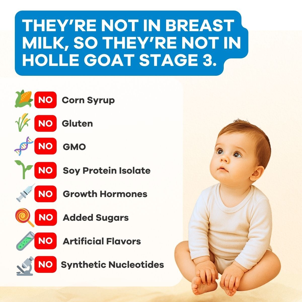 Holle Organic Infant GOAT Milk Formula Stage 3
