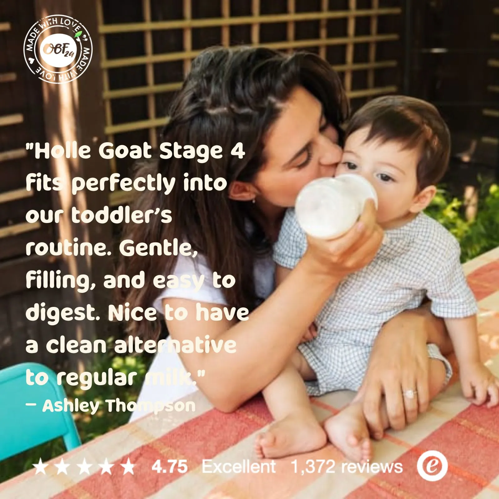 Holle Organic Infant GOAT Milk Formula Stage 4 - 50 Boxes