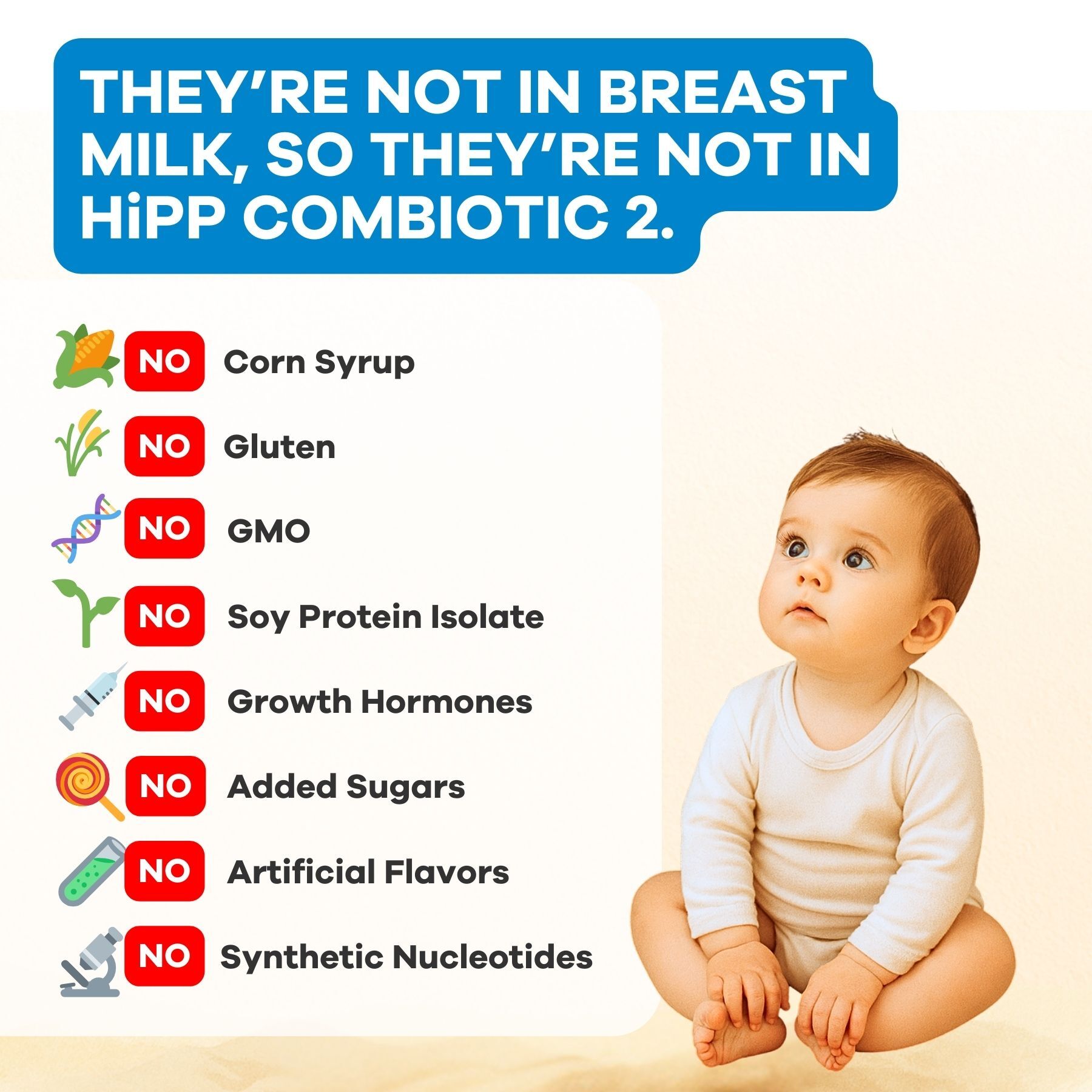 HiPP Stage 2 (6-10 Months) Combiotic Follow-On Formula (600g)