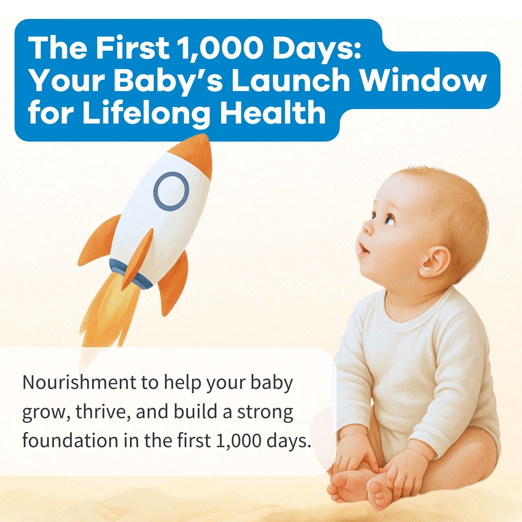 Holle Organic Infant GOAT Milk Formula Stage 4