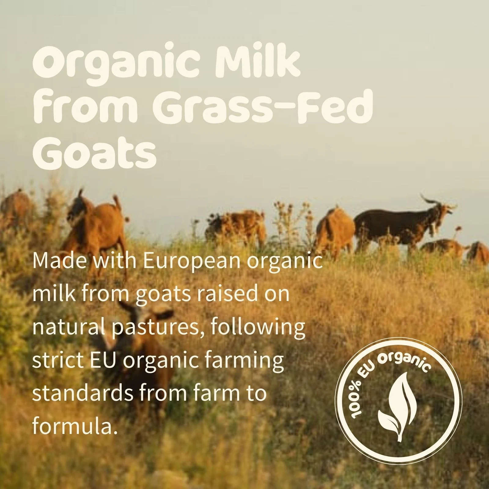 Holle Organic Infant GOAT Milk Formula PRE - 50 Boxes