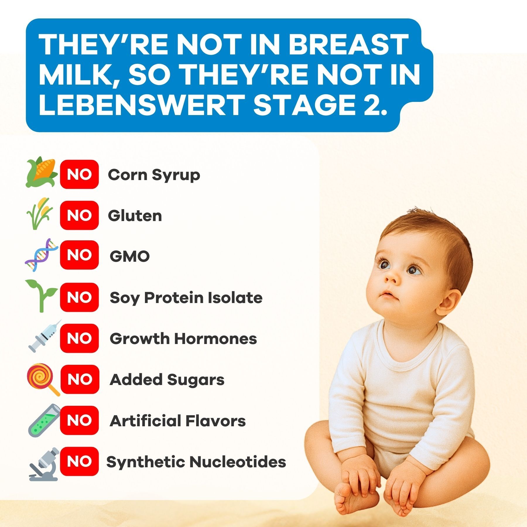 Lebenswert Organic Follow-Up Formula Stage 2 - 20 Boxes