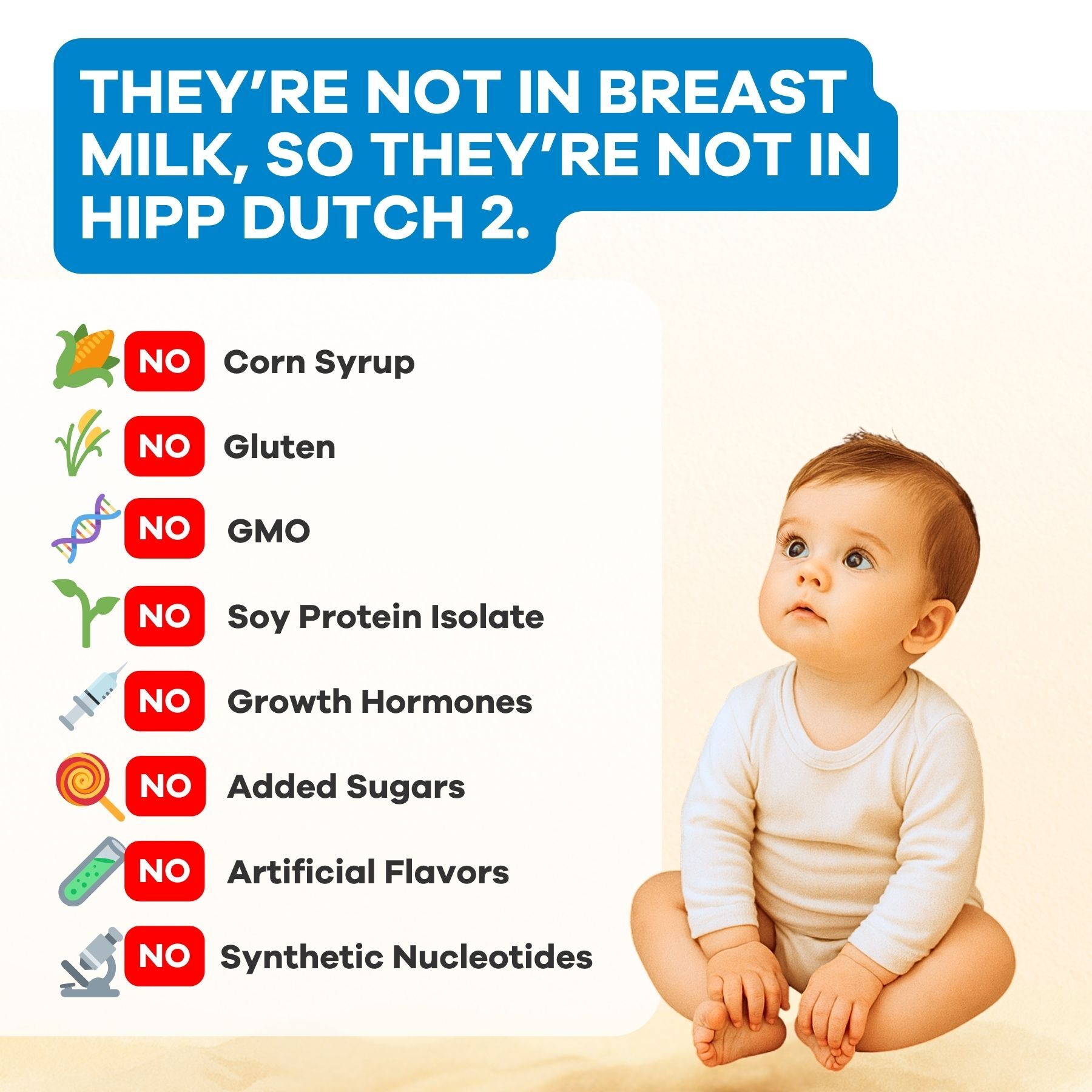 HiPP Dutch Stage 2 (6+ Months) Combiotic Formula (800g)