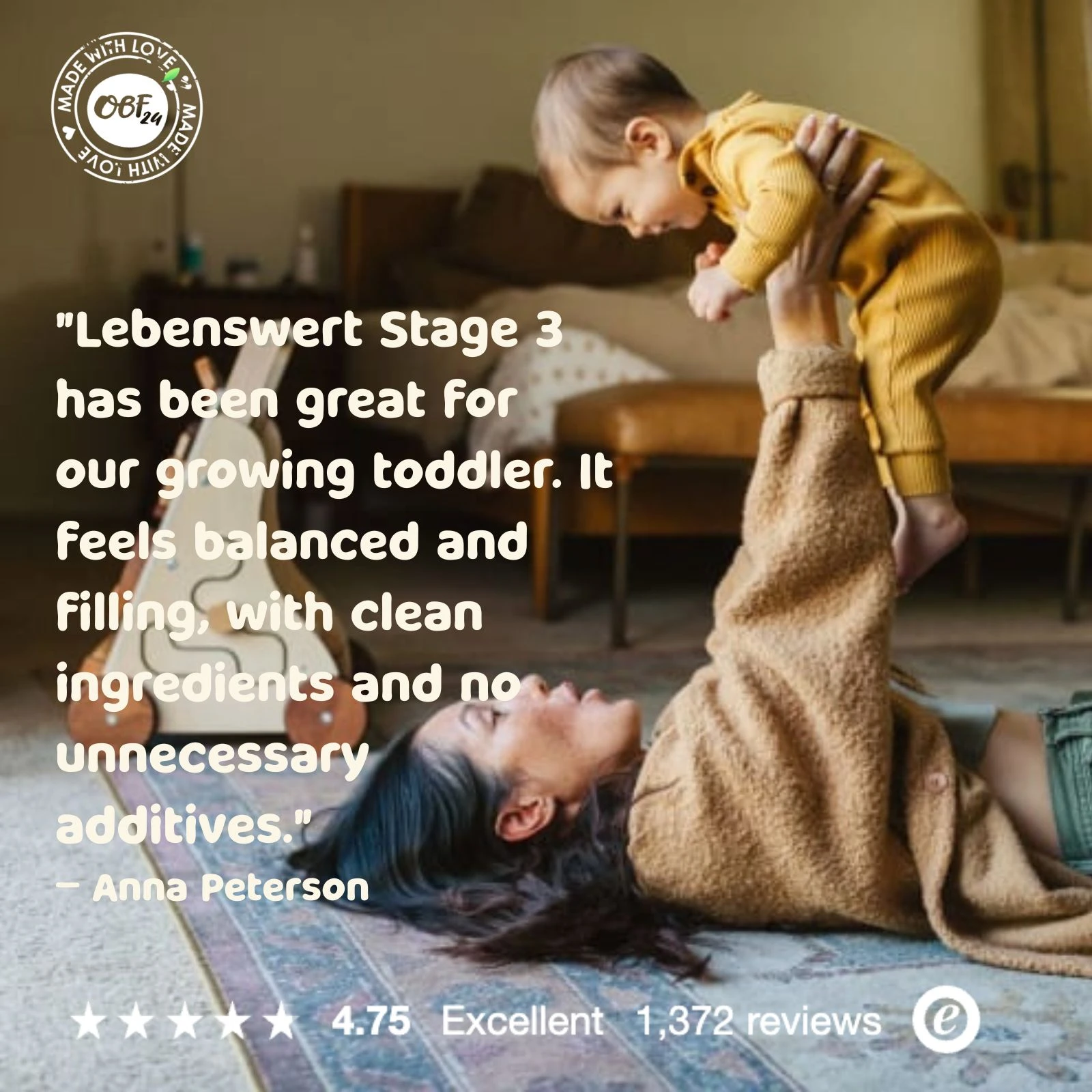 Lebenswert Stage 3 (10+ Months) Organic Growing-Up Formula (475g)