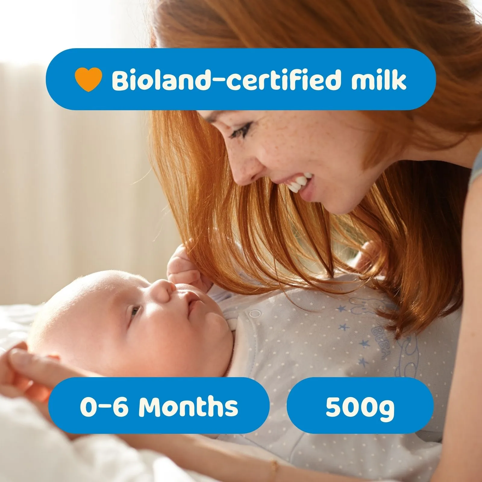 Lebenswert Stage 1 (0-6 Months) Organic Infant Formula (500g)