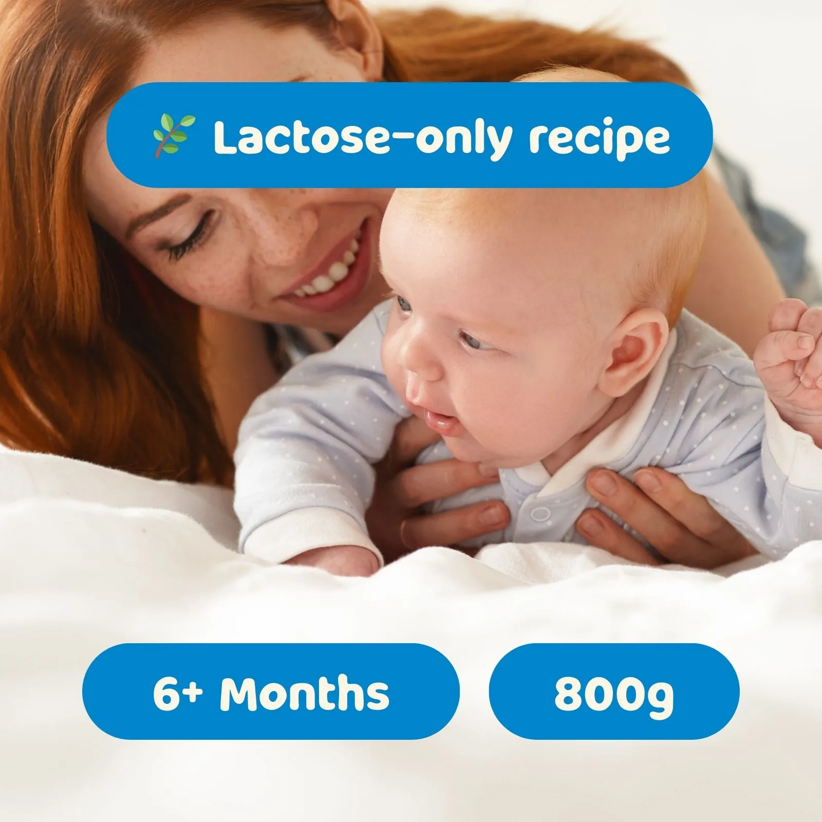 HiPP Dutch Stage 2 (6+ Months) Combiotic Formula (800g)